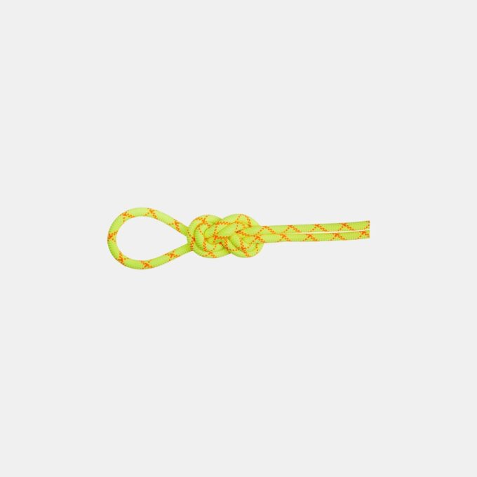 Corde Alpine Core Protect Dry 9.5 Corde Alpine Core Protect Dry 9.5