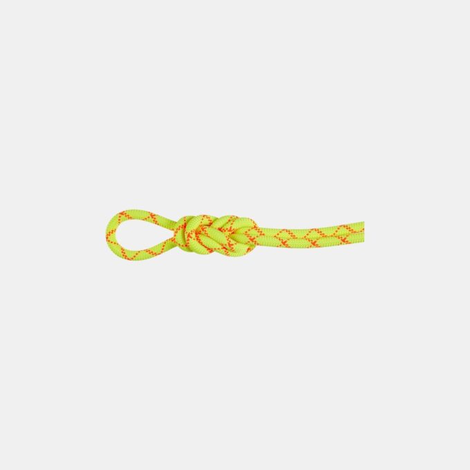 Corde Alpine Core Protect Dry 9.5 de 60 m Corde Alpine Core Protect Dry 9.5 de 60 m