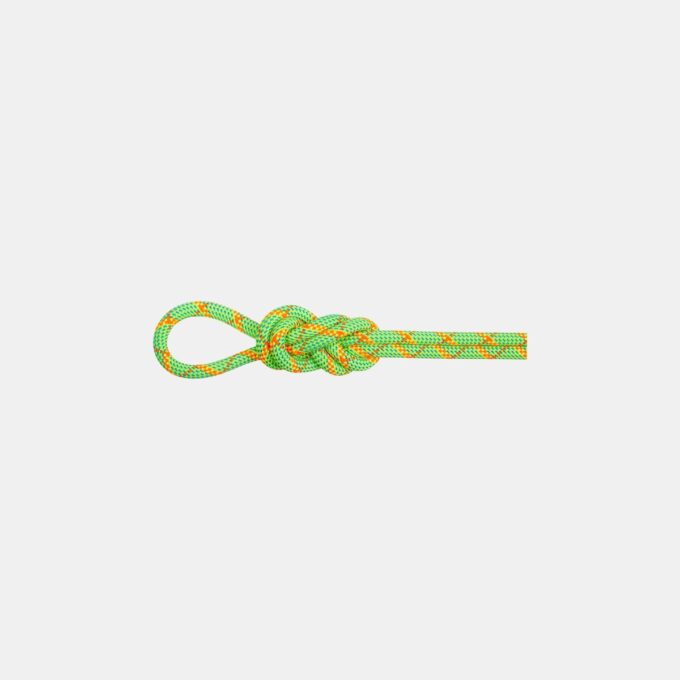 Corde étanche Alpine Core Protect Dry 8.0 m Corde étanche Alpine Core Protect Dry 8.0 m
