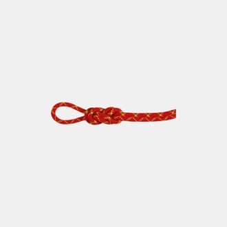 Corde étanche Alpine Core Protect Dry Rope 8.0 de 30 m