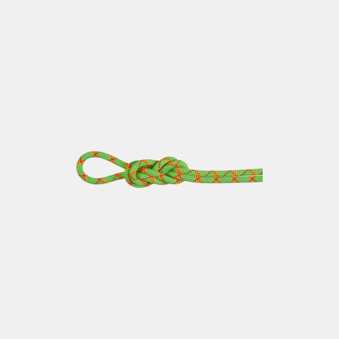 Corde Alpine Core Protect Dry 8.0 m Corde Alpine Core Protect Dry 8.0 m