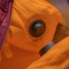 Sac en fibre performant pour femmes -10°C Sac en fibre performant pour femmes -10°C