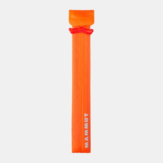Sonde de carbone 240 lumière